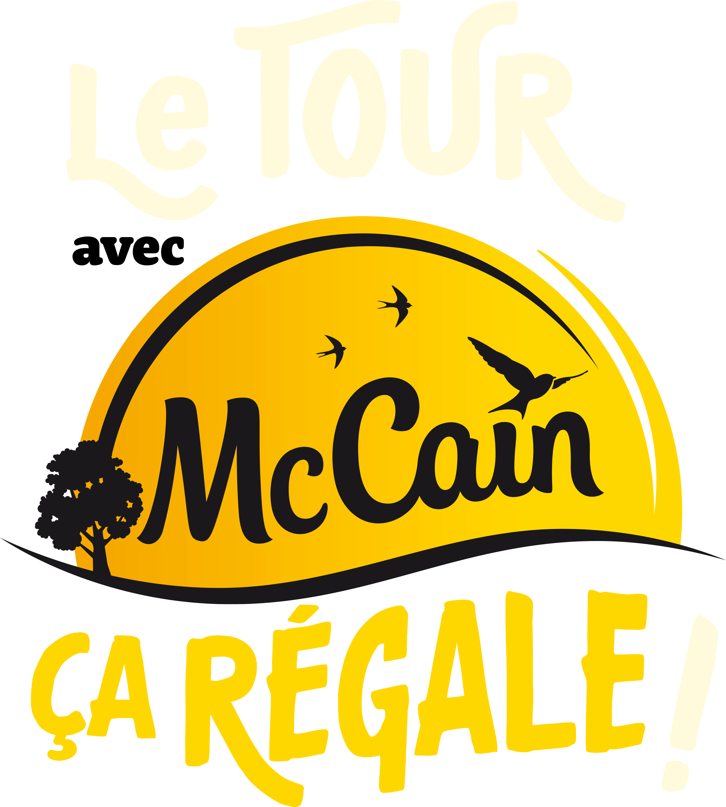 Logo McCain